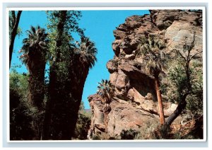 Vintage Palm Springs Canyon, California. Postcard 7XE