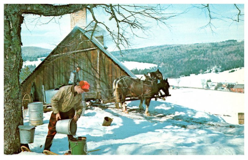 Vermont  Maple Sugar Time