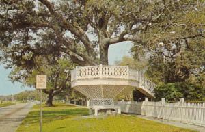 Mississippi Biloxi Shoo Fly On East Beach Boulevard 1966