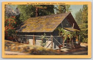 Original Home Of James W. Marshall Coloma California Trees & Cabin Postcard