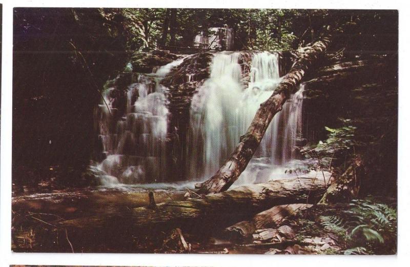 Waterfall Ricketts Glen State Park Wyandot Falls PA 