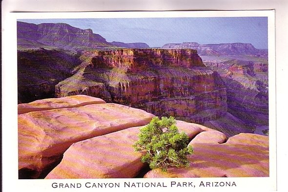 Grand Canyon National Park Arizona, Natural Resources Defense Council.