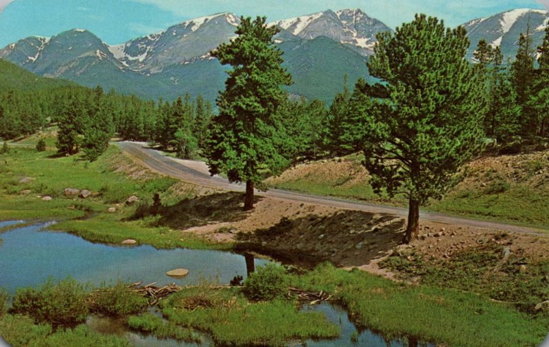 Beaver Dams,Hidden Valley,Rocky Mountain National Park,CO