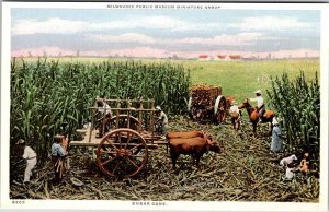 Postcard FARM SCENE Milwaukee Wisconsin WI AL1739