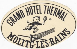 France Molitg-Les-Bains Grand Hotel Thermal Yellow Vintage Luggage Label lbl0025