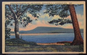 Speculator, NY - Speculator Mtn and Lake Pleasant - 1954