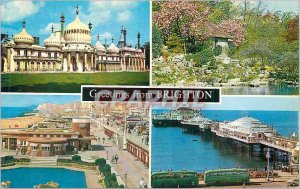 Modern Postcard Greetings from The Royal Brighton Parilion The Rochery Presto...