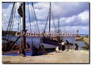 Postcard Modern Camaret The Port