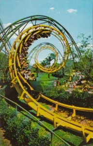 The Python Roller Coaster Busch Gardens Tampa Florida