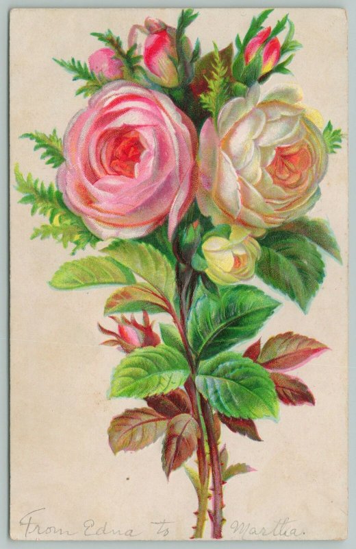 Flowers Greetings~Thorny Pink and White Roses~c1910 Embossed Postcard