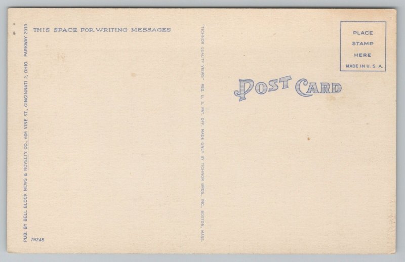 Cincinnati Ohio~Birds Eye View Overlooking City~Vintage Postcard