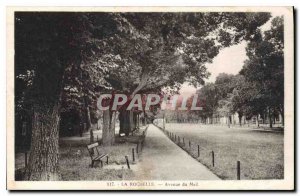 Old Postcard La Rochelle Avenue du Mail