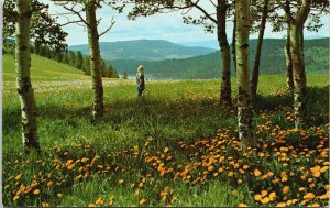 Tranquille Plateau British Columbia BC Girl in Meadow Unused Postcard G25