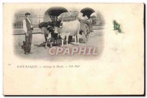 Old Postcard Folklore Basque Country of oxes