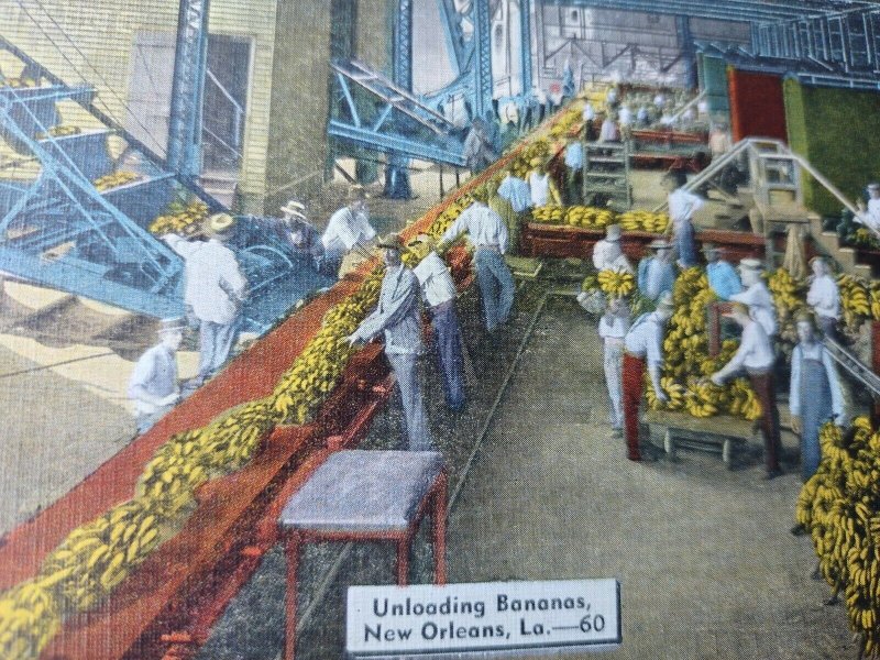 New Orleans Unloading Bananas Vintage Postcard linen natural color unposted