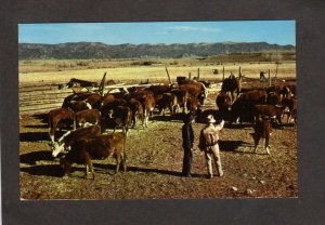 Co Skogsberg Circle Ranch Cattle Farming Buena Vista Colorado Postcard