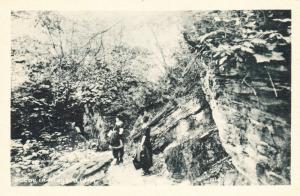 Vintage Postcard, Scene in Niagara Glen, Women Hiking, Early 1900s Unposted C16