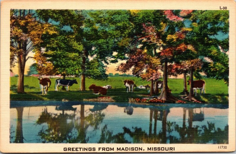 Madison , MISSOURI -Vintage Postcard - GREETINGS LINEN 