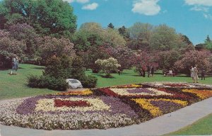 Highland Park, Rochester, New York - Pansy Bed at Lilac Festival Time