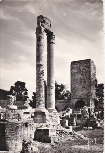 France Arles Les colonnes du Theatre Antique