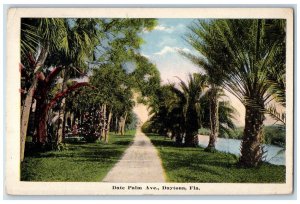 1916 Scenic View Date Palm Ave Lake Flowers Daytona Florida FL Posted Postcard