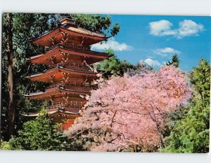 Postcard Japanese Tea Gardens San Francisco California USA