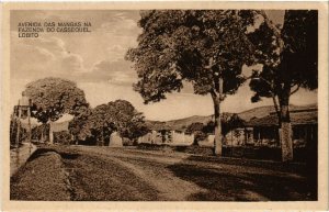 PC CPA ANGOLA / PORTUGAL, FAZENDA D CASSEQUEL, LOBITO, Postcard (b21632)