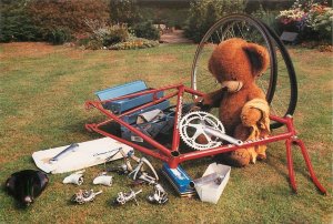 Postcard Teddy Bear Bicycling Bruce Bicycle Frame - Holdsworth by PH Topics