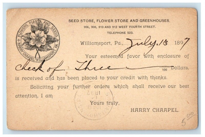 1897 Seed Flower Store Greenhouse Williamsport PA Plants Nursery Postcard