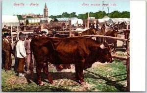 Sevilla Feria Toro Manso Premiado Spain Ox Synopsized Animal Postcard