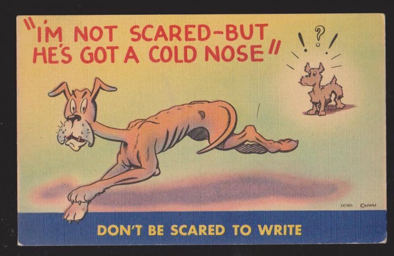 Comic Postcard - Dog With Cold Nose - Used 1945