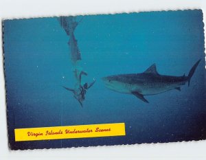 Postcard Tiger Shark, Virgin Islands Underwater Scenes, U. S. Virgin Islands