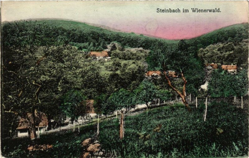 CPA AK STEINBACH im Wienerwald AUSTRIA (676849)