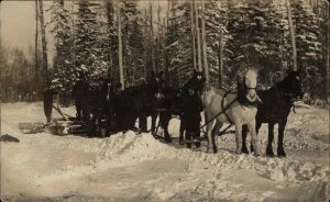 Horse Sleigh in Winter - N. Battleford Saskatchewan Written on Back RPPC 