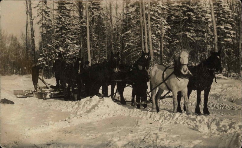 Horse Sleigh in Winter - N. Battleford Saskatchewan Written on Back RPPC