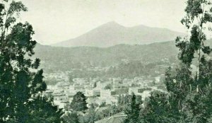 Postcard RPPC Bird's Eye View of San , CA. 1924    T8