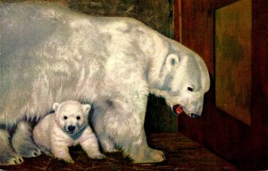 Polar Bears Mother and Cub