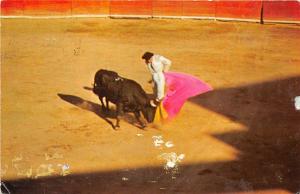 B73414 Bullfight in old Mexico bull tauros corida Mexico