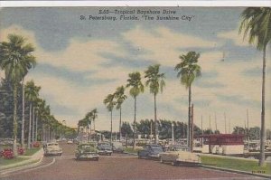 Florida St Petersburg Tropical BAyshore Drive The Sunshine City