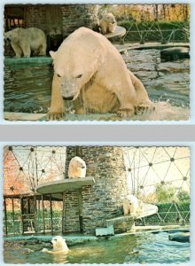 2 Postcards GRANBY, Quebec Canada ~ POLAR BEARS Parc Zoologique Zoo c1960s