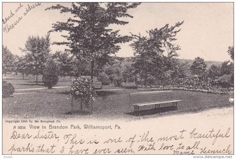 WILLIAMSPORT, Pennsylvania, PU-1907; View In Brandon Park