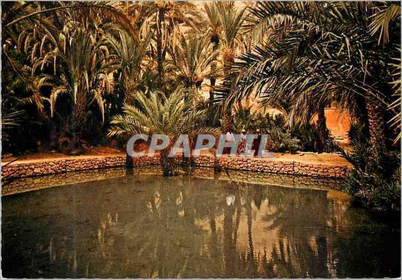 CPM Le Maroc Pittoresque Tinerhir 