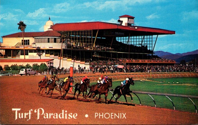 Horses Racing Turf Paradise Phoenix Arizona