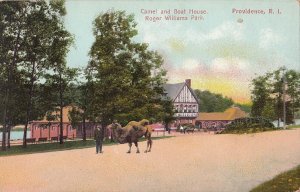 Postcard Camel + Boat House Roger Williams Park Providence RI Rhode Island