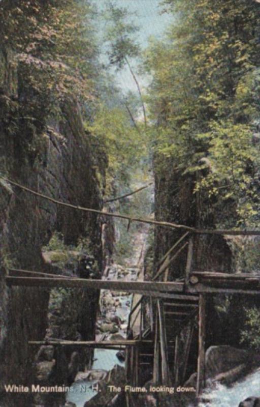 New Hampshire White Mountains The Flume Looking Down 1909