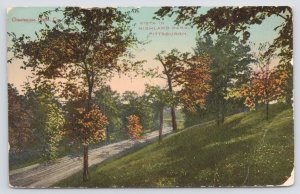 Pittsburgh Pennsylvania~Highland Park~Road Amidst Trees~c1910 Postcard