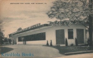 Postcard Greyhound Post House Port Allegany PA