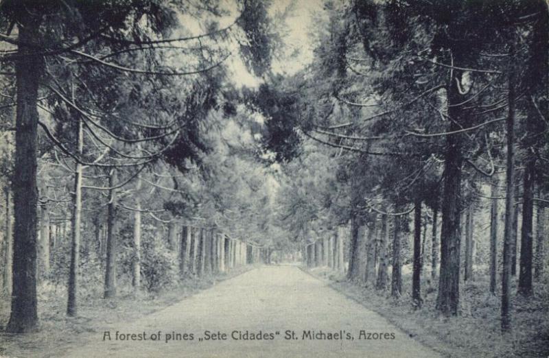 portugal, Azores Acores, SAÕ MIGUEL, FURNAS, Forest of Pines, Sete Cidades 1910s