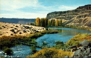 Idaho Footbridge At Lower Lake At Blue Lakes Country Club Near Twin Falls