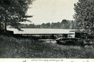 1906 Alpaca Mill Pond Springvale Maine ME Posted Antique Postcard 
